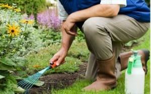 Inscrições abertas para curso de horticultura e jardinagem