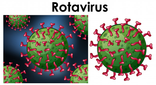 Rotavírus: O que é principais sintomas