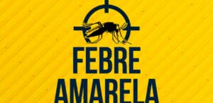 Febre amarela: sintomas e transmissão